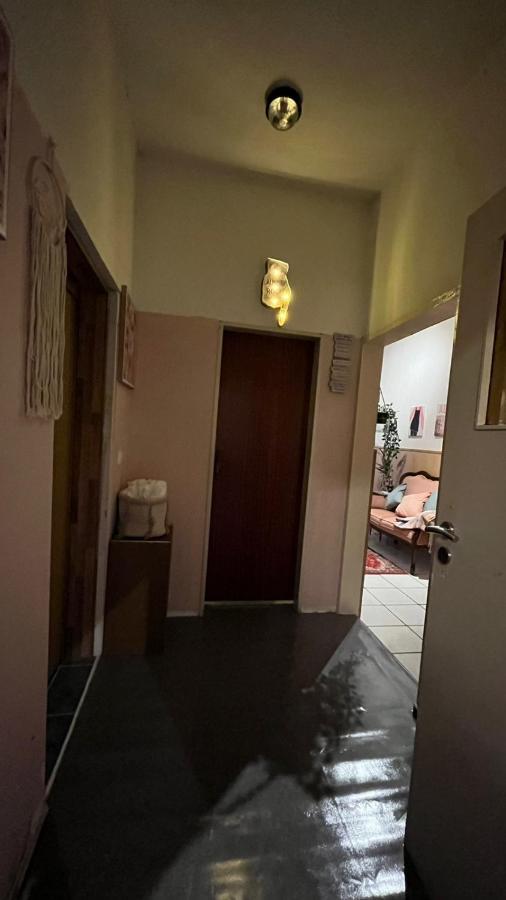 Apartamento Monteure, Ganzes Haus, Schwarzheide, Haus 1 Exterior foto